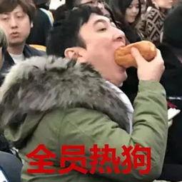 娱乐吃瓜八卦图片表情包,吃瓜群众眼中的明星表情包大赏